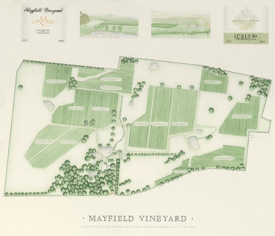 Mayfield Vineyard Orange Exteriér fotografie