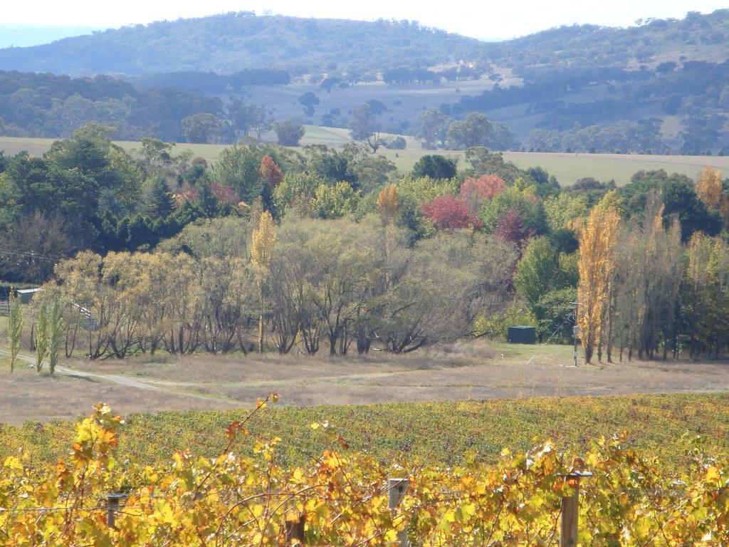 Mayfield Vineyard Orange Exteriér fotografie