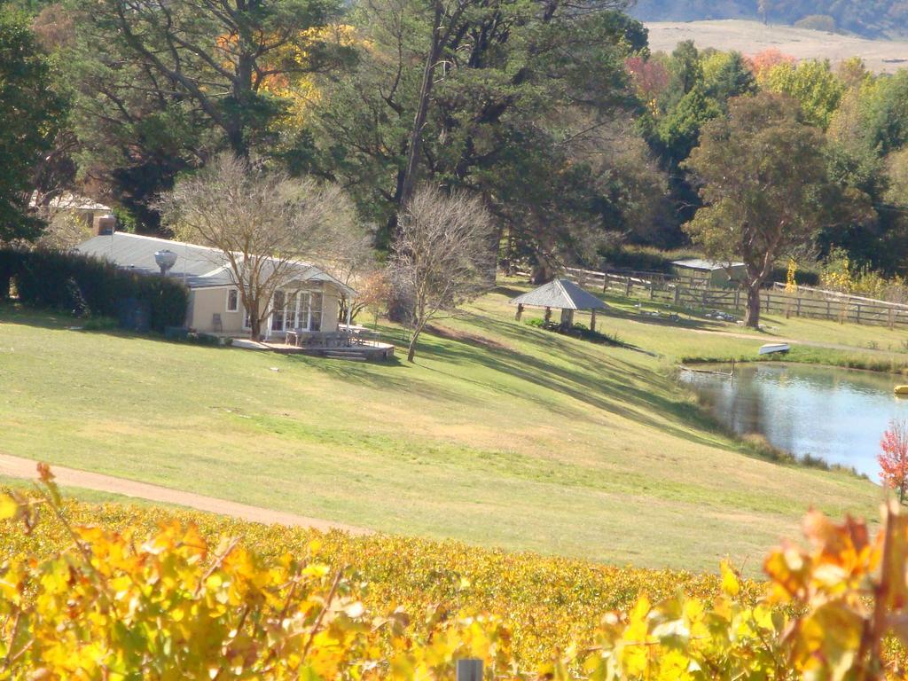 Mayfield Vineyard Orange Exteriér fotografie